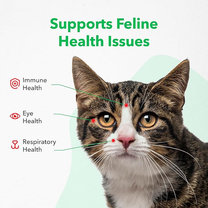 Vetoquinol Viralys Gel L-Lysine Supplement for Cats, 5oz - Cats & Kittens of All Ages - Immune Health - Sneezing, Runny Nose, Squinting, Watery Eyes - Palatable Maple Flavor Lysine Gel Vetoquinol