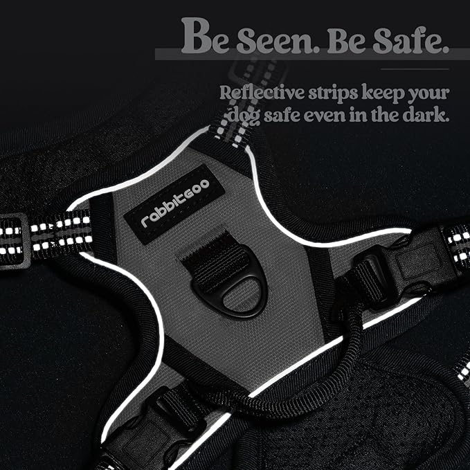 rabbitgoo Dog Harness No Pull with 2 Leash Clips, Adjustable Soft Padded, Reflective Oxford No Choke Pet Vest with Easy Control Handle for Puppy, Grey, XS rabbitgoo