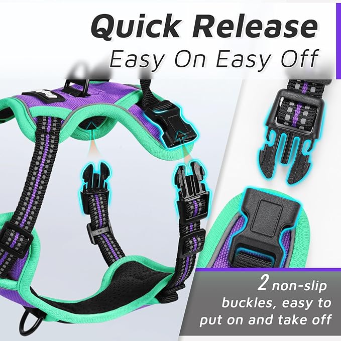 Eagloo Dog Harness for Large Dogs, No Pull Service Vest with Reflective Strips and Control Handle, Adjustable and Comfortable for Easy Walking, No Choke Harness with 2 Metal Rings, Purple & Green, XS GoExplorewithEagloo
