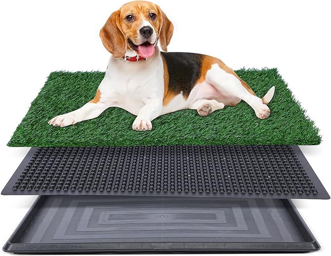 Artificial Grass for Dog Potty – 20x30 inch,Strong Absorbency Grass Pad, Dog Grass Pad with Tray, Dog Potty Training Pad, Dog Litter Box with Grass (Large) - PAWPICO