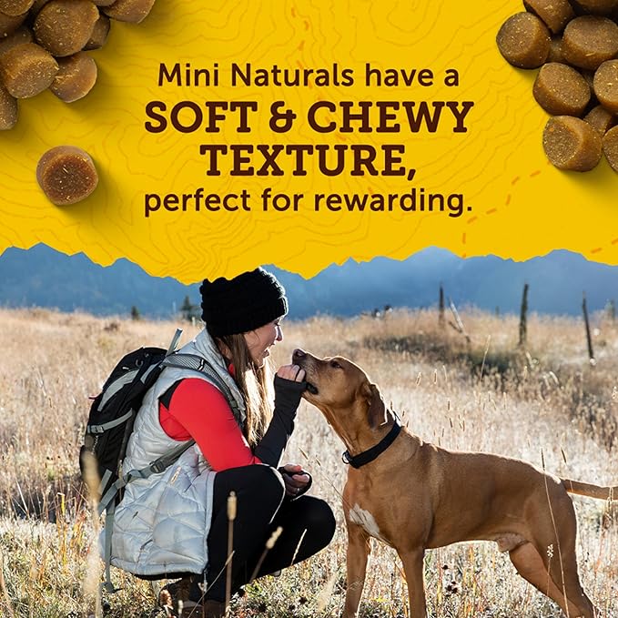 Zuke’s Mini Naturals Dog Training Treats for Dogs of All Sizes, Pet Treats made with Real Beef, 16 oz. Resealable Pouch - 16 oz. Bag - PAWPICO