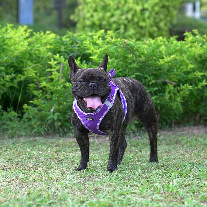 AMTOR Small Dog Harness with Leash Set, No Escape Easy Walk Puppy Harnesses for Training Walking, Step-in Reflective Soft Dogs Vest for XS S Medium Extra-Small Large Sized Dog(Purple,L) AMTOR