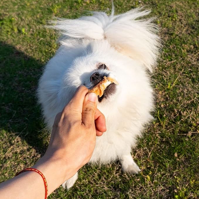 MON2SUN Dog Treats, Chicken Wrapped Calcium Dog Bones Without Rawhide, 2.3 Inch Training Treats for Teeth Cleaning and Fresh Breath, Dog Chews for Puppy and Small Dogs (28 Count - Pack of 1) - PAWPICO