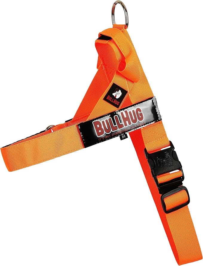 BULLHUG Harness – Made for Larger Chested Dogs Like English Bulldogs, French Bulldogs, Pugs & More. Stops Dogs from Pulling & Choking on Walks (NEON Orange, Large) BULLHUG