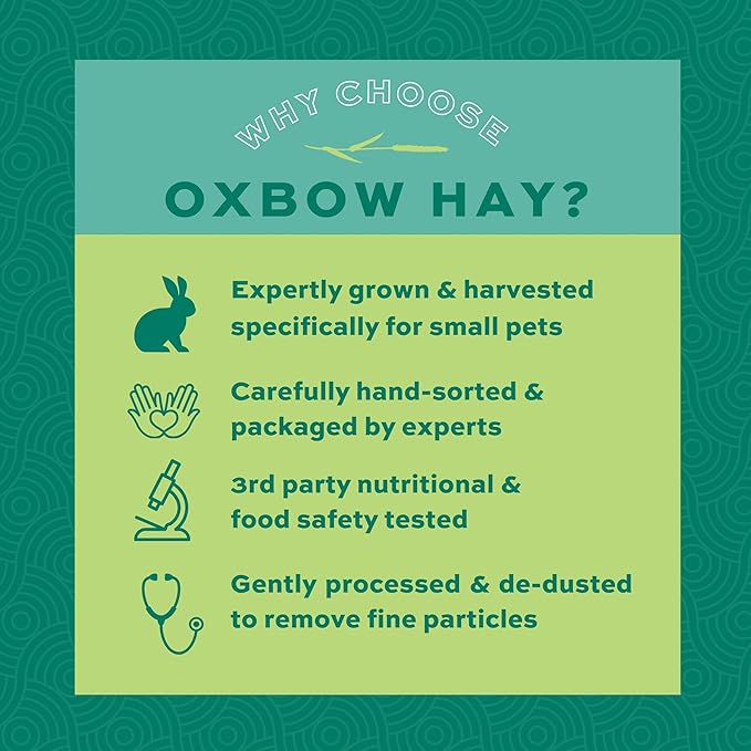 Oxbow Animal Health Orchard Grass Hay - All Natural Grass Hay for Chinchillas, Rabbits, Guinea Pigs, Hamsters & Gerbils - 15 oz. OxbowAnimalHealth