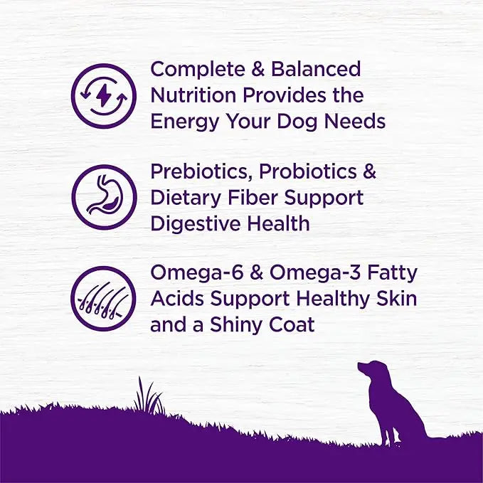 Wellness Complete Health Dry Dog Food with Grains, Natural Ingredients, Made in USA with Real Meat, All Breeds, For Adult Dogs (Chicken & Oatmeal, 15-Pound Bag) - PAWPICO
