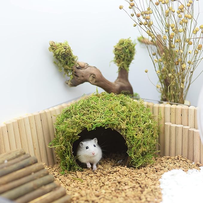 Hamster Hideaway,Hamster Hideout,Mossy Cave Hide,Hamster House/Hides,Hamster Cage Accessories for Gguinea Pig/Hedgehogs/Gliders/Rats/Mice and Other Small Animals (Large) SanmooAio