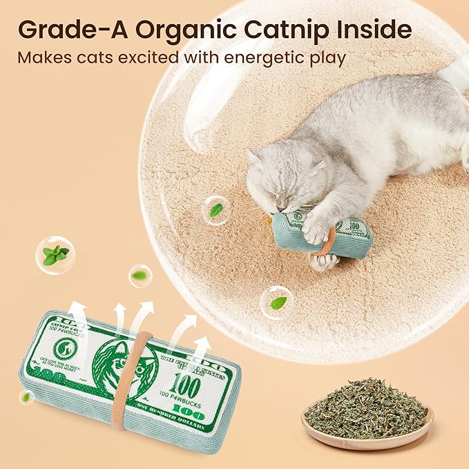Potaroma Cat Toys US-Dollar Catnip Crinkly Sound Toy, Mesh Fabric for Teeth Cleaning, Interactive Kicker Toys for Indoor Kitten Exercise 6.0 Inches for All Breeds - PAWPICO