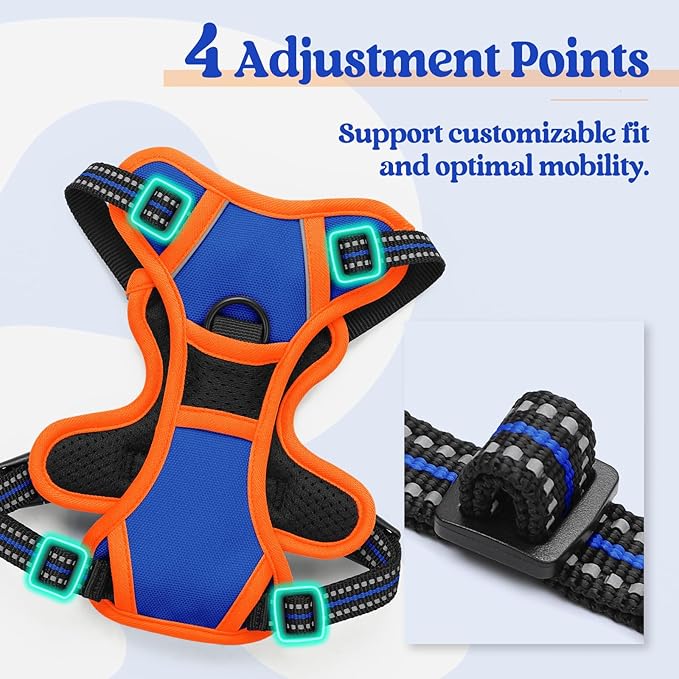rabbitgoo Dog Harness No Pull with 2 Leash Clips, Adjustable Soft Padded, Reflective Oxford No Choke Pet Vest with Easy Control Handle for Puppy, Blue & Orange, XS rabbitgoo