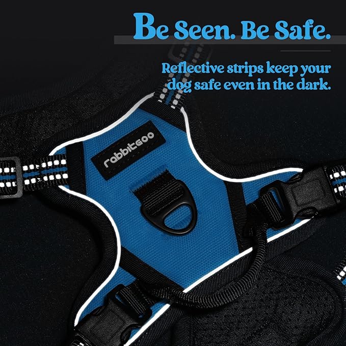rabbitgoo Dog Harness No Pull with 2 Leash Clips, Adjustable Soft Padded, Reflective Oxford No Choke Pet Vest with Easy Control Handle for Puppy, Blue, XS rabbitgoo