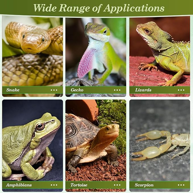 ROCEEI 6 Pcs Reptile Heat Mat 20W 11x16.5 Inch Reptile Heating Pad with Temperature Control Removable Terrarium Heater Under Tank Heat Pad for Reptiles Gecko Turtle Tortoise Snake Lizard Hermit Crab ROCEEI