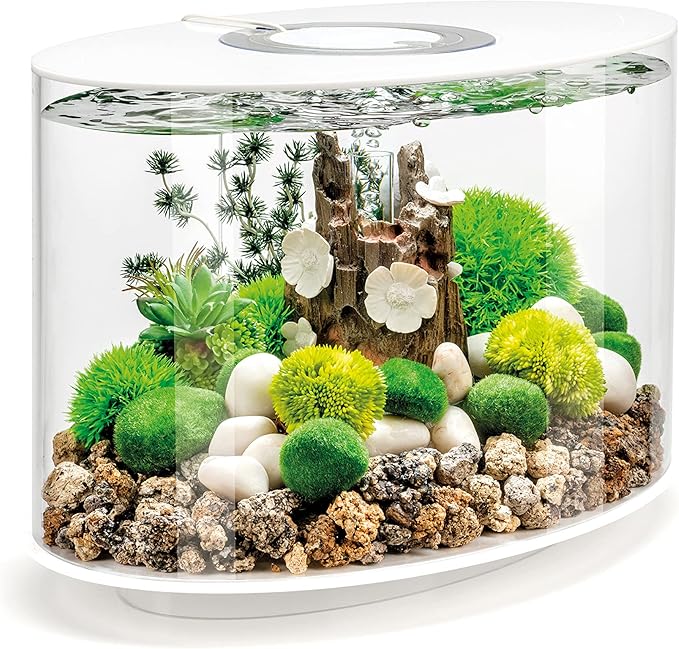 biOrb Loop 15 Acrylic 4-Gallon Aquarium with White LED Lights Modern Compact Tank for Tabletop or Desktop Display, White-Trimmed Tank biOrb