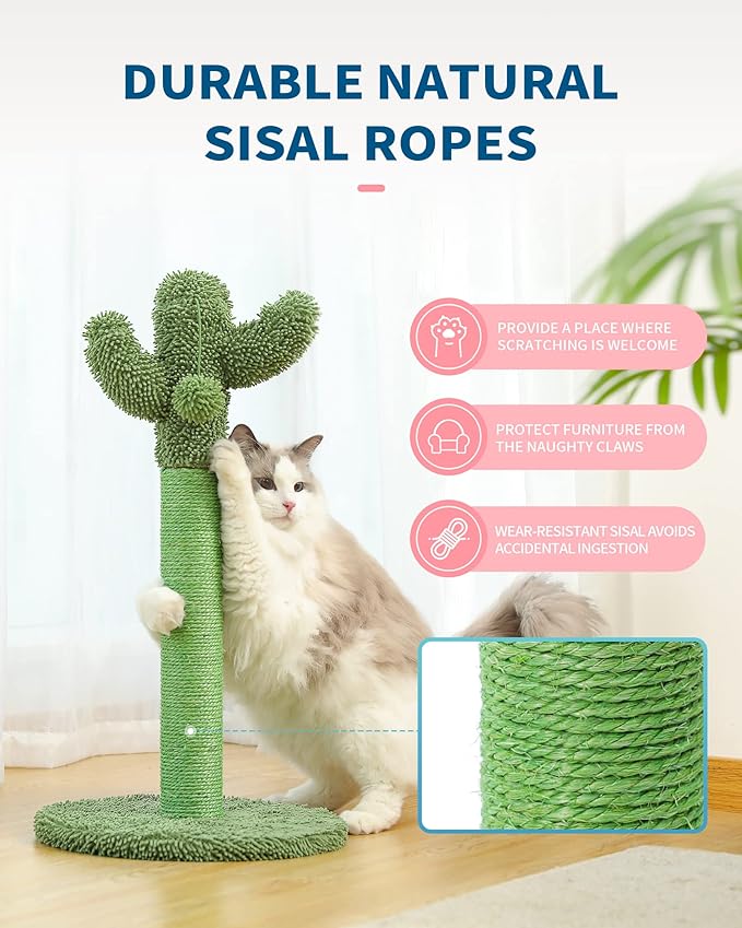 Made4Pets 34" Tall Cat Scratching Post, Cactus Cat Scratcher Kitten Scratching Posts for Indoor Cats Adults Claw Scratch with Sisal Rope, Vertical Green Cat Tree with Dangling Ball for Kitties Large - PAWPICO