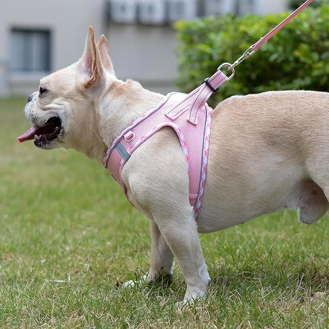 Mercano Soft Mesh Dog Harness and Leash Set, No-Chock Step-in Reflective Breathable Lightweight Easy Walk Escape Proof Vest Harnesses with Safety Buckle for Small Medium Dogs, Cats (Pink, XS) PAWPICO