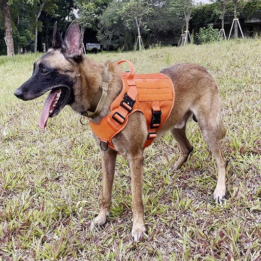 ICEFANG Tactical Dog Harness,X-Large Size, 2X Metal Buckle,Working Dog MOLLE Vest with Handle,No Pulling Front Leash Clip,Hook and Loop Panel ICEFANGDIRECT