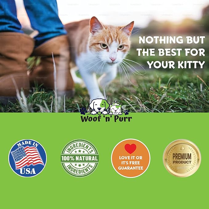 Cat Digestive Support - Digestive Enzymes for Cats - Cat Digestive Probiotic - Cat Digestion Aid - Cat Digestion - Digestive Enzyme for Cats - Cat Digestive Enzyme - Cat Digestive Supplement - 1 fl oz PAWPICO