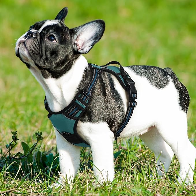 Eagloo Dog Harness Small Sized Dog, No Pull Service Vest with Reflective Strips and Control Handle, Adjustable and Comfortable for Easy Walking, No Choke Pet Harness with 2 Metal Rings, Dark Green, S GoExplorewithEagloo