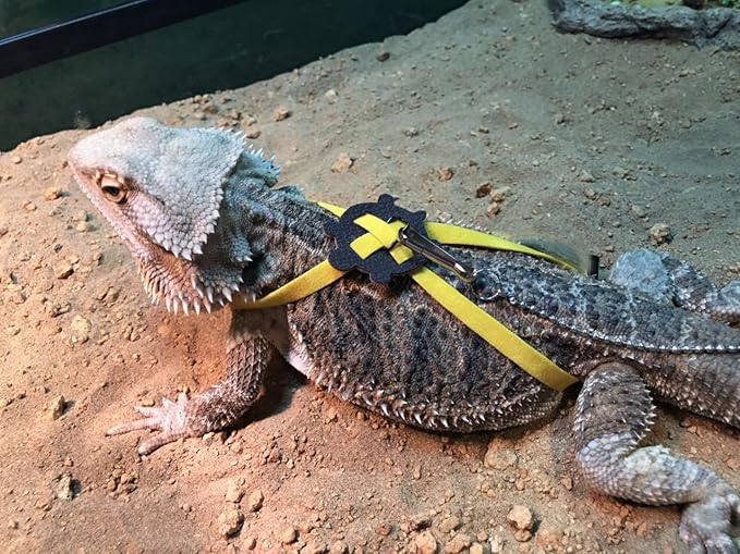 2 Pack Adjustable Reptile Harness and Leash for Lizard Gecko Bearded Dragon Outside Walk (Yellow) Wontee