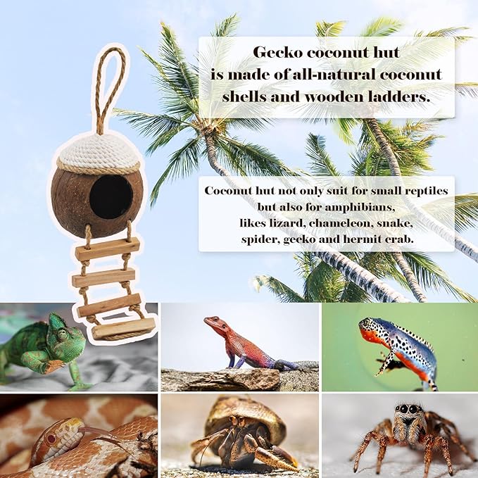 Leopard Gecko Coconut Hut with Ladder,Grested Gecko Coco Den Lizards Hanging Coconut Shell Hideout Cave Reptiles Tank Accessories Climbing Hanging Plants Jungle Vine Flexible Leaves Decor MUYG