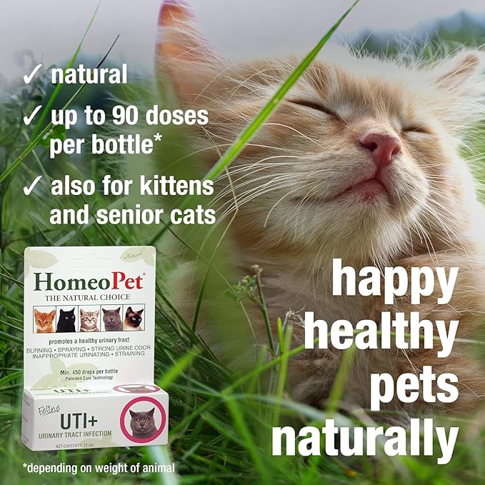 HomeoPet Feline UTI Plus, Safe and Natural Urinary Tract Medicine for Cats, Feline Urinary Tract Support, 15 Milliliters - Pack of 2 HomeoPet