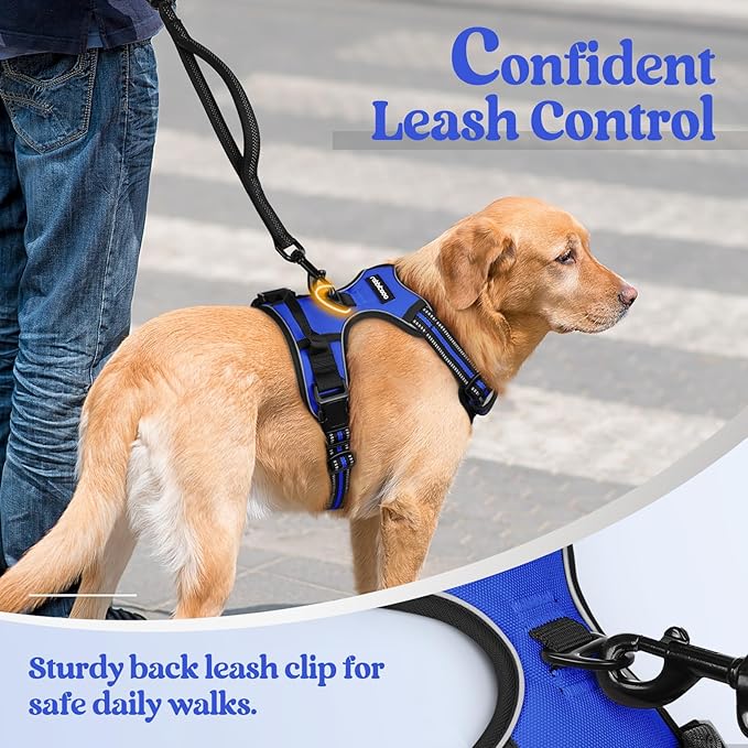 rabbitgoo Dog Harness No Pull with 2 Leash Clips, Adjustable Soft Padded, Reflective Oxford No Choke Pet Vest with Easy Control Handle for Small Dogs, Dazzling Blue, S rabbitgoo