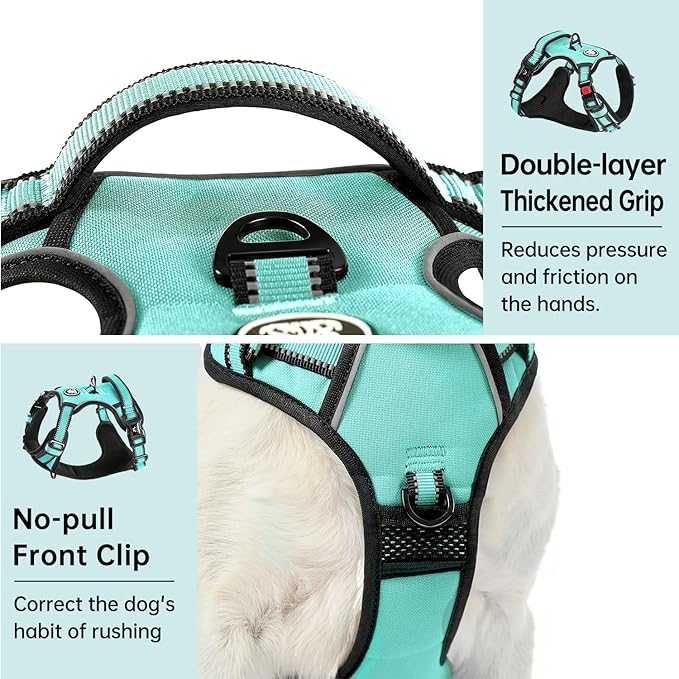 IVY&LANE No Pull Dog Harness with Leash Set, Reflective No Choke Pet Vest,Adjustable Oxford Dog Vest Harness with Easy Control Handle for Large Dogs (Turquoise,XL) IVYLANE