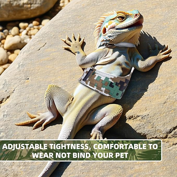 Bearded Dragon Harness and Leash, Adjustable Lizard Bearded Dragon Reptile Harness, Bearded Dragon Lizard Reptiles for Walking Outdoor to Prevent Escape (Green) PAWPICO