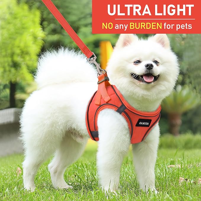 GAMUDA Small Pet Harness Collar and Leash Set, Step in No Chock No Pull Linen Fabric Soft Mesh Dog Vest Harnesses Reflective for Dogs Puppy Cats Kitten Rabbit (Orange, XXS) GAMUDACollarsCollection