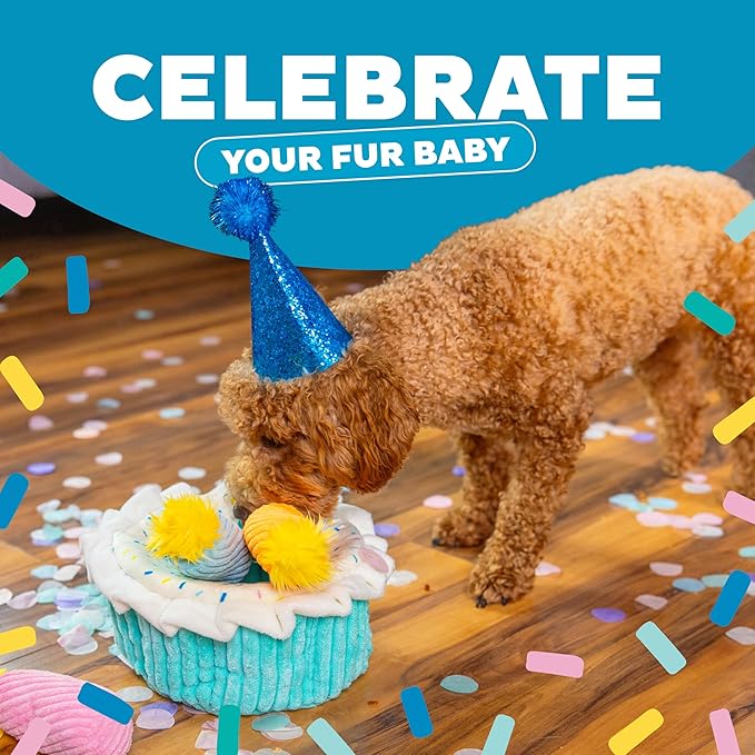 Outward Hound Hide A Birthday Cake, Plush Puzzle Birthday Themed Dog Toy - PAWPICO