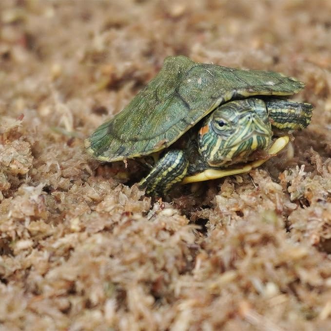2QT Substrate for Turtle Bedding, Ideal Turtle Tank Accessories for Retains Moisture Begeterday