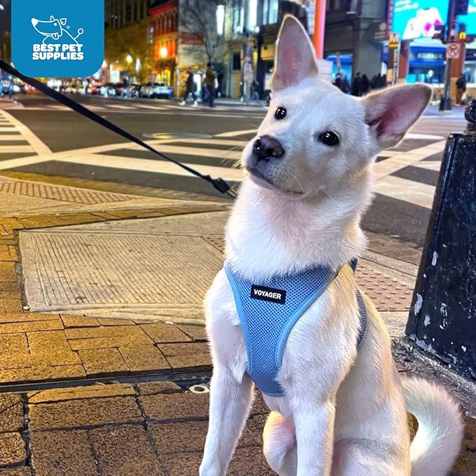 Voyager Step-in Air Dog Harness - All Weather Mesh, Reflective, No Pull Harness for Small, Medium Dogs, Cats - Secure with Hook & Loop Fastener, Buckle, Double D-Rings - Baby Blue, XL BestPetSuppliesLLC
