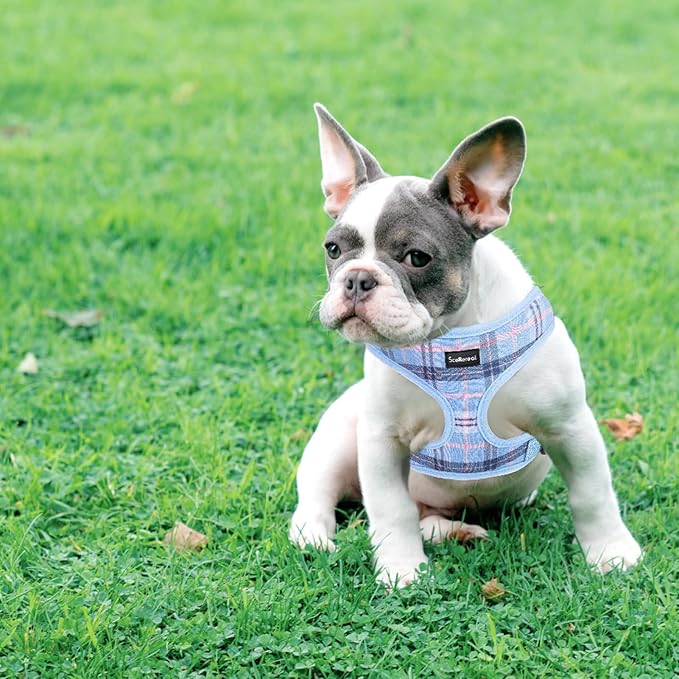 SCENEREAL Puppy Dog Harness with Leash Set for Small Medium Sized Dogs, Soft Mesh Step in Pet Harnesses and Leash, No Chock Plaid Adjustible No Pull Vest for Dogs Cats, Chihuahua,Bulldog (Blue XS) SCENEREAL