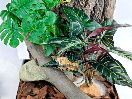 Woyrise Reptile Artificial Plants for Terrarium Decor, Amphibian Habitat Decorations Bearded Dragon Tank Accessories fit Crested Gecko Leopard Lizard Chameleon Ball Python Snake Frog - Fake Alocasia Woyrise