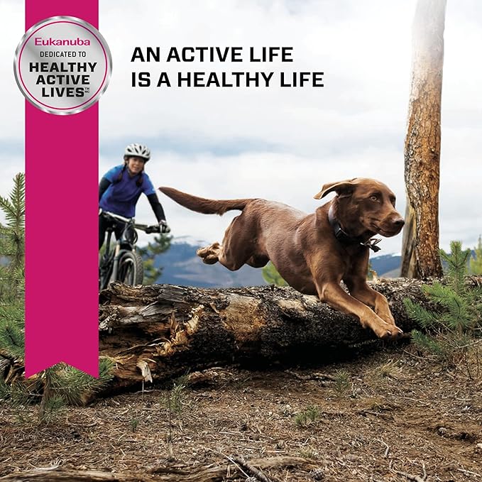 Eukanuba Adult Large Breed Dog Food Dry, Lamb 1st Ingredient, Dog Food Dry Formula for Large Dogs with Protein, DHA and Vitamins to Support an Active Lifestyle, 30 lb Bag - PAWPICO