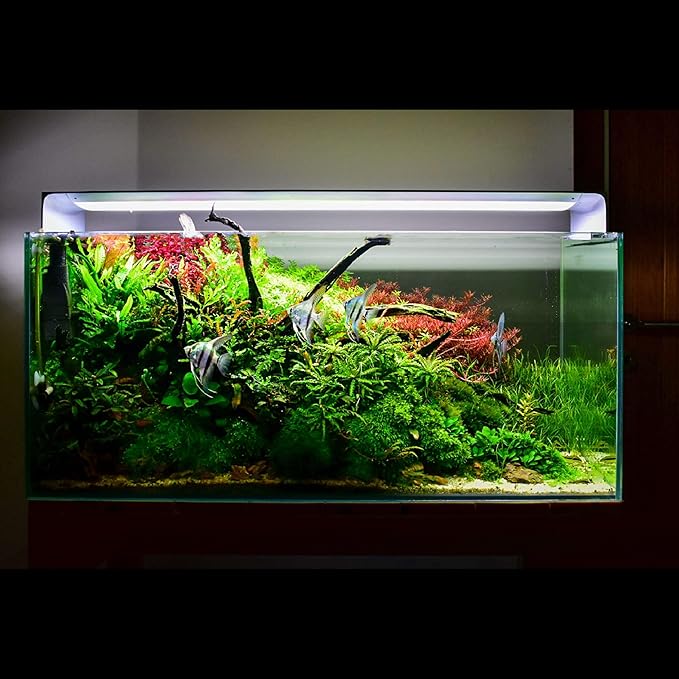 ONF Flat One+ 36-inch 24/7 Automated LED Aquarium Light, 6500-20500K Blue White LED, Mobile APP Remote Controlled, Dimmable Full Spectrum Sunrise/Sunset for Plant Growth, Hood Style for Fish Tank ONF