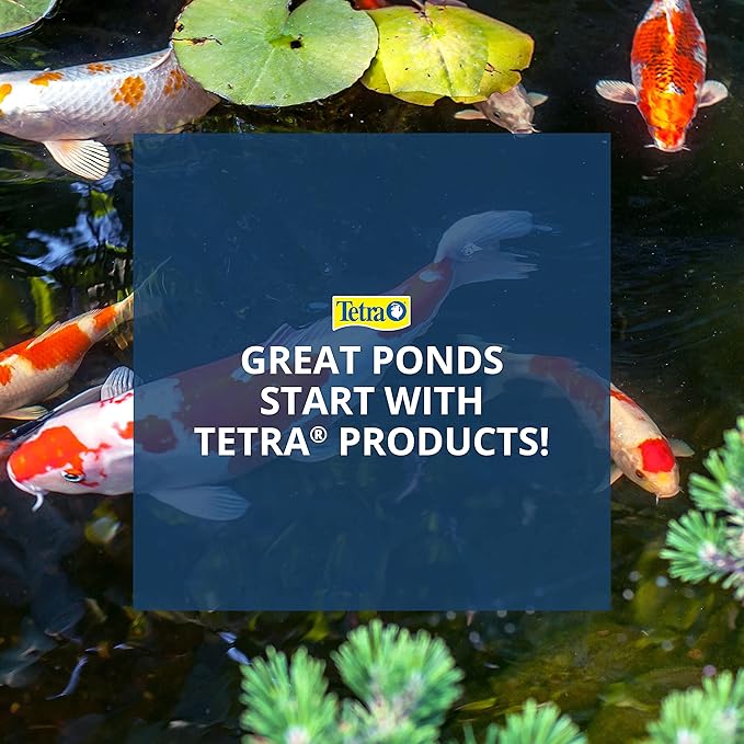 TetraPond Koi Growth 4.85 Pounds, Soft Sticks, Pond Fish Food (Pack of 2) Tetra