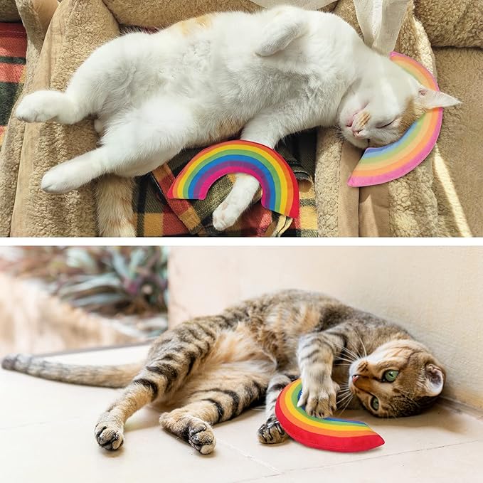 Catnip Toys, Catnip Toys for Cats, Cat Toys, Cat Toys for Indoor Cats, Cat Toys with Catnip, Interactive Cat Teething Chew Toys Cat Pillow Toys for Kitten Kitty, 2 Pack - PAWPICO