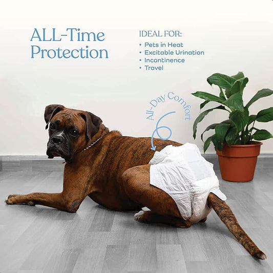 Comfortable Female Dog Diapers - 24-Pack Super Absorbent Disposable Doggie Diapers - FlashDry Gel Technology & Wetness Indicator - Leakproof Diapers for Dogs in Heat, Excitable Urination, Incontinence - PAWPICO