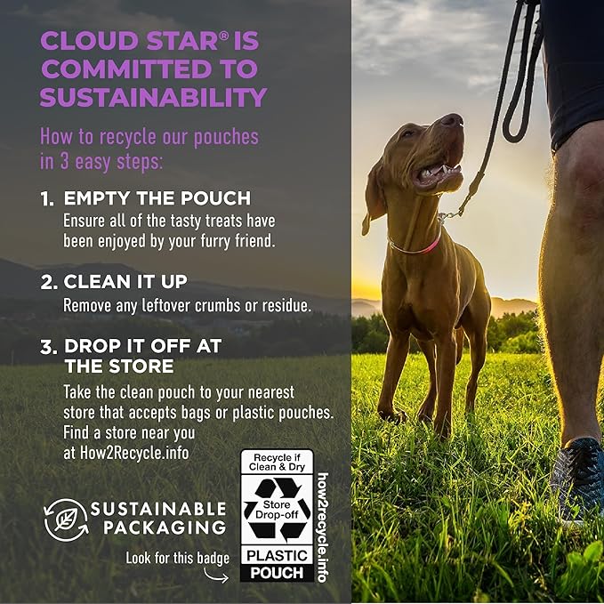 Cloud Star Tricky Trainers Soft & Chewy Dog Training Treats 5 oz Pouch, Liver Flavor, Low Calorie Behavior Aid with 130 treats - PAWPICO