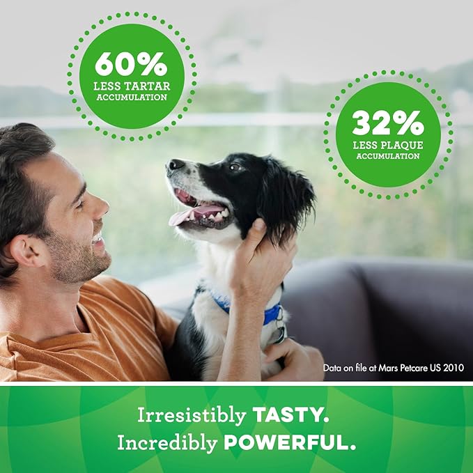 GREENIES Original Large Natural Dog Dental Care Chews Oral Health Dog Treats, 12 oz. Pack (48 Treats) - PAWPICO