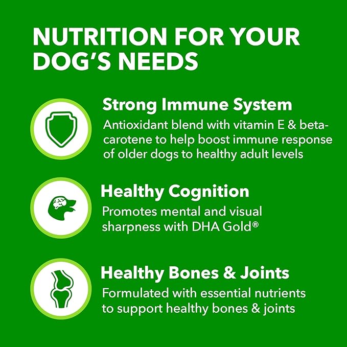 IAMS Proactive Health Healthy Aging Large Breed Dry Senior Dog Food Real Chicken, 15 lb. Bag - PAWPICO