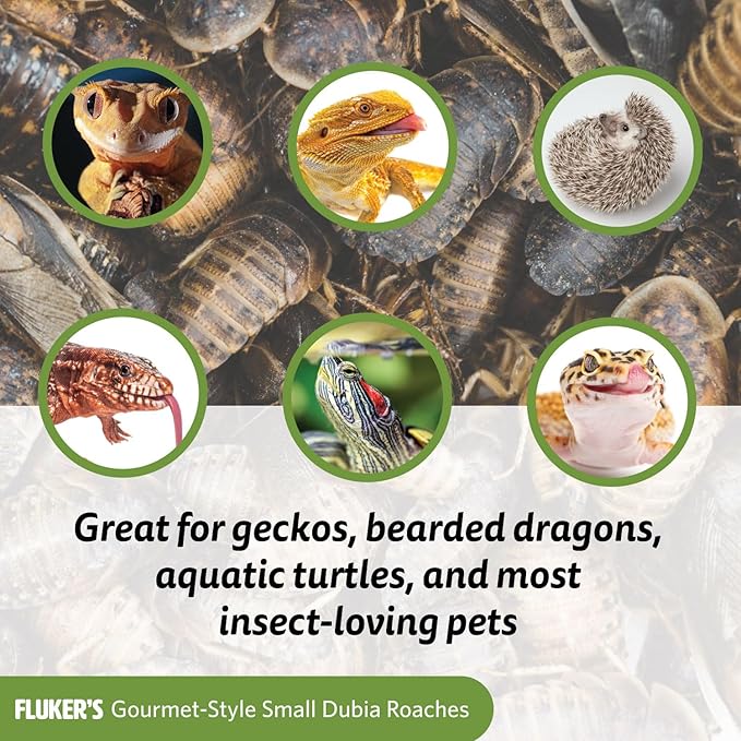 Fluker's Gourmet Canned Food for Reptiles, Fish, Birds and Small Animals, Dubia Roaches, 1.2 oz (Pack of 2) Flukers