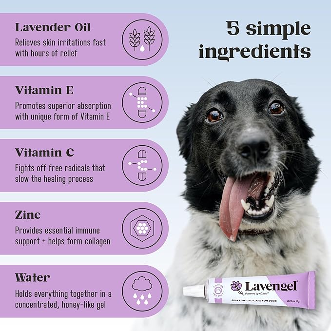 for Dogs - Reduces Skin Irritations and Itching - Effective Wound Care and Hot Spot Treatment Lavengel