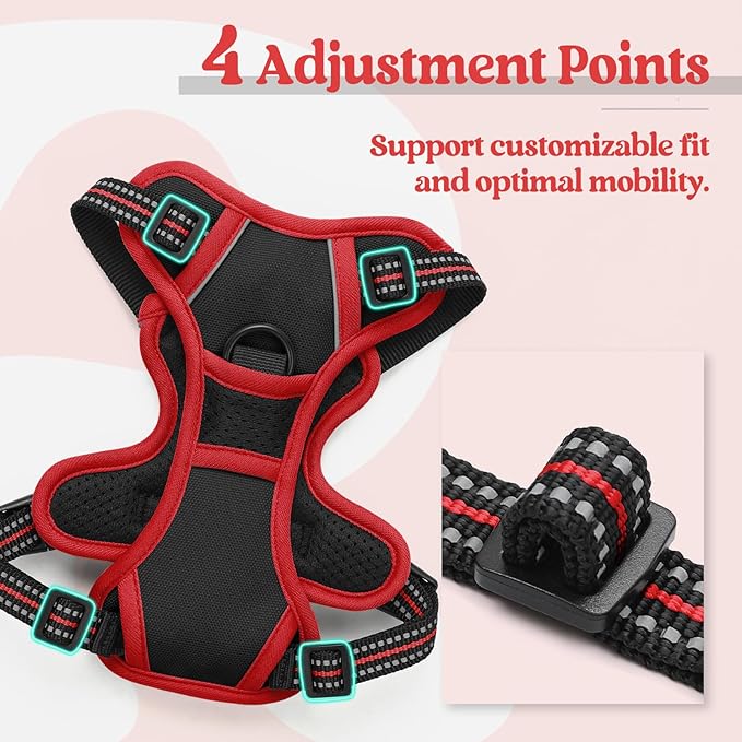 rabbitgoo Dog Harness No Pull with 2 Leash Clips, Adjustable Soft Padded, Reflective Oxford No Choke Pet Vest with Easy Control Handle for Puppy, Black & Red, XS rabbitgoo