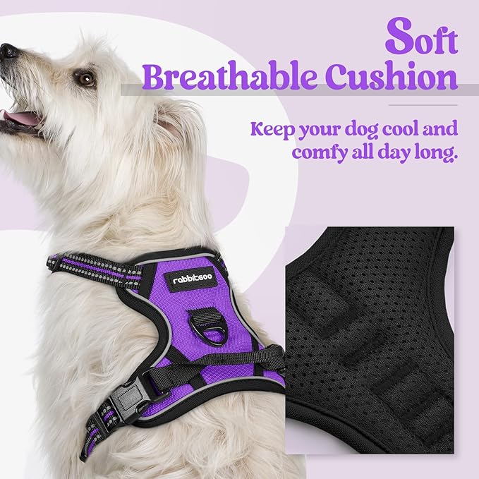 rabbitgoo Dog Harness No Pull with 2 Leash Clips, Adjustable Soft Padded, Reflective Oxford No Choke Pet Vest with Easy Control Handle for Puppy, Purple,XS rabbitgoo
