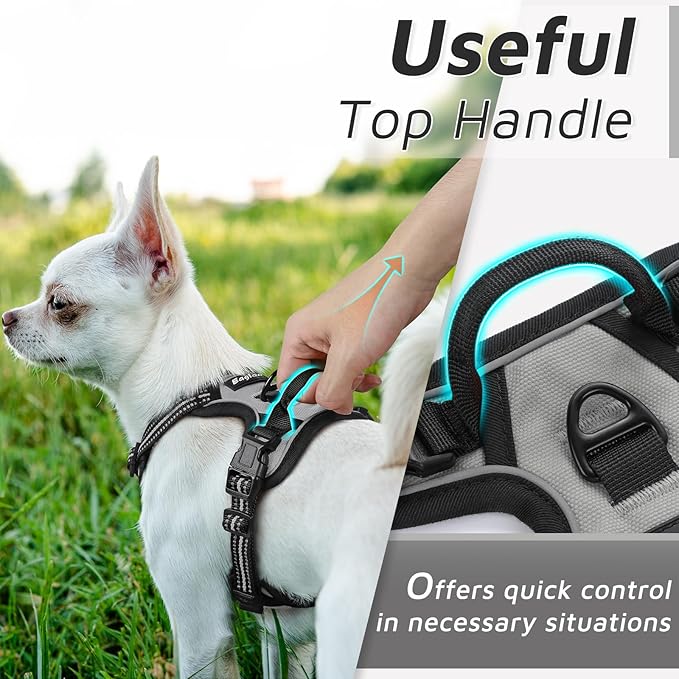 Eagloo Small Dog Harness No Pull, Service Vest with Reflective Strips and Control Handle, Adjustable and Comfortable for Easy Walking, No Choke Pet Harness with 2 Metal Rings, Grey, XS GoExplorewithEagloo