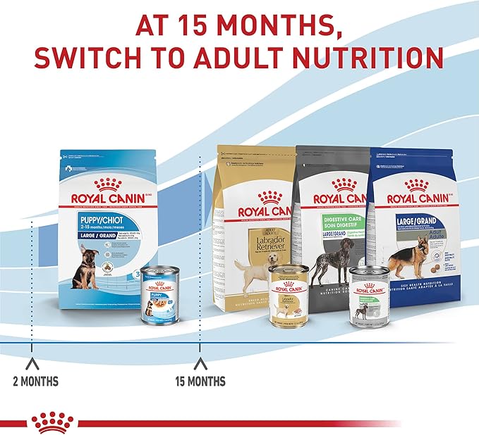 Royal Canin Size Health Nutrition Large Puppy Dry Dog Food, 17 lb bag - PAWPICO
