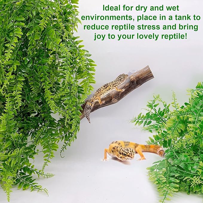 kathson Reptile Corner Branch Tank Habitat Decorations Bearded Dragons Plants Hanging Plastic Fake Climbing Terrarium Plant Decor for Amphibian Lizards Crested Gecko Snake Hermit Crab Frogs 3Pcs kathson