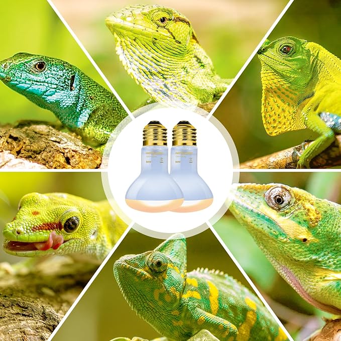 REPTIZOO Reptile Heat Lamp, 2 Pack 50W Daylight Basking Spot Lamp for Reptiles UVA Daylight Heating Lamp Bulb Basking Light for Bearded Dragon, Tortoise, Geckos, Chicken REPTIZOO