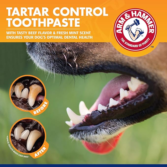 Arm & Hammer for Pets Tartar Control Kit for Dogs | Contains Toothpaste, Toothbrush & Fingerbrush | Reduces Plaque & Tartar Buildup | Safe for Puppies, 3-Piece , Beef Flavor CompanyofAnimals